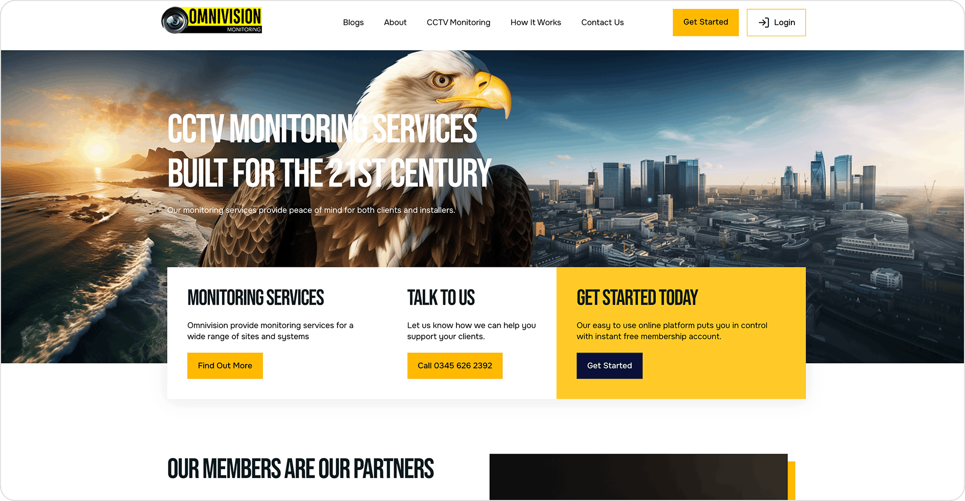 Design & Build of Sales Platform for Omnvision